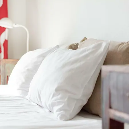 Hostel Buisto